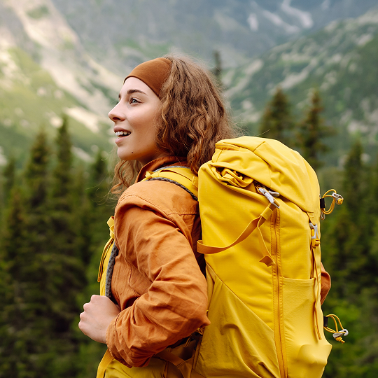 Book an Free Consultation