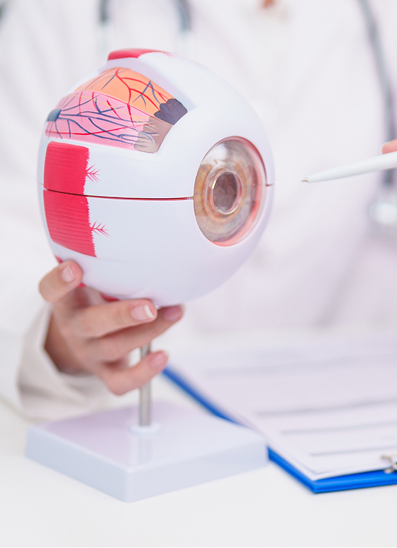 pterygium treatment adelaide, surfer’s eye treatment, pterygium progression, corneal involvement